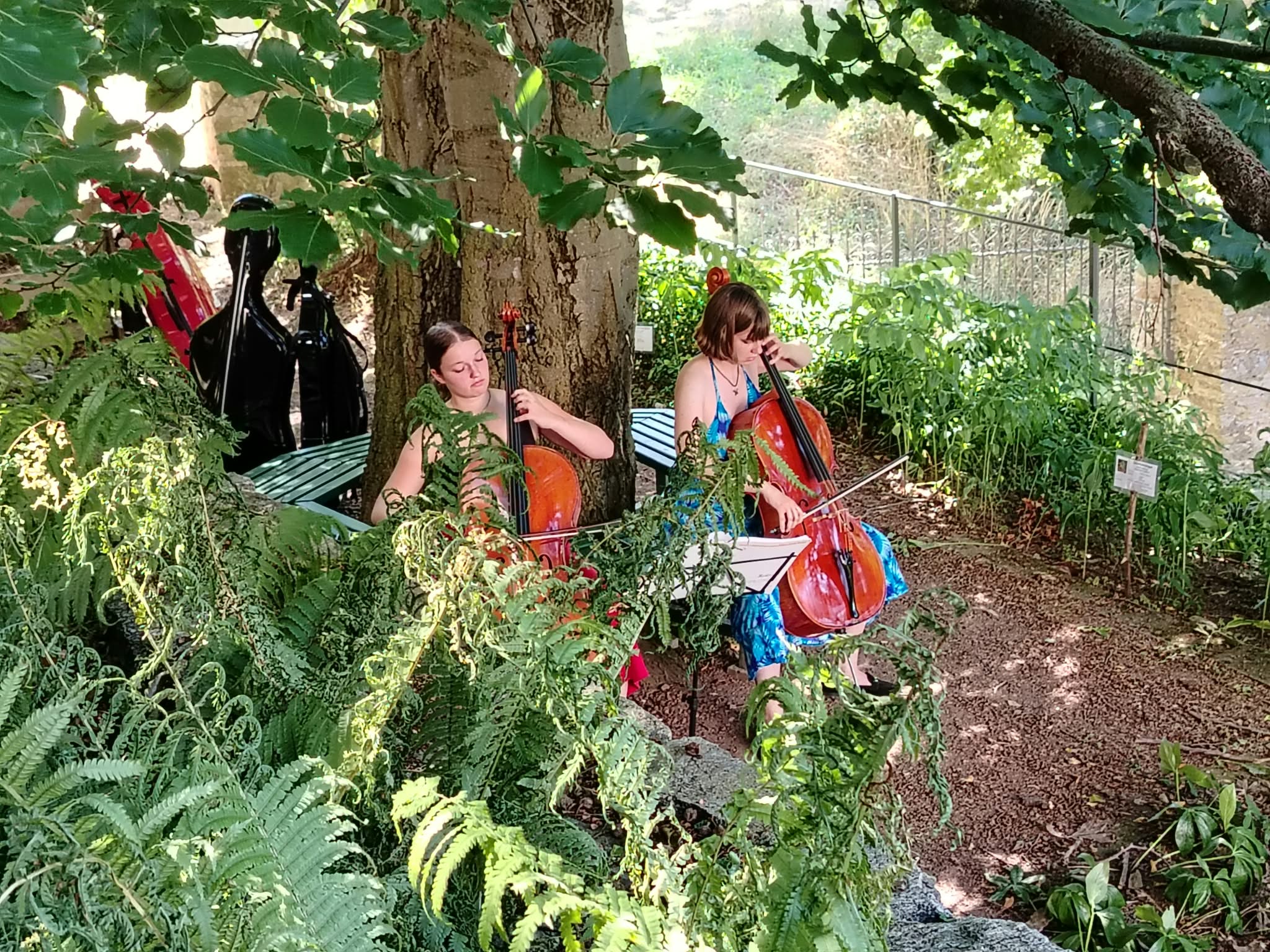Zwei junge Cellistinnen im Schlossgarten